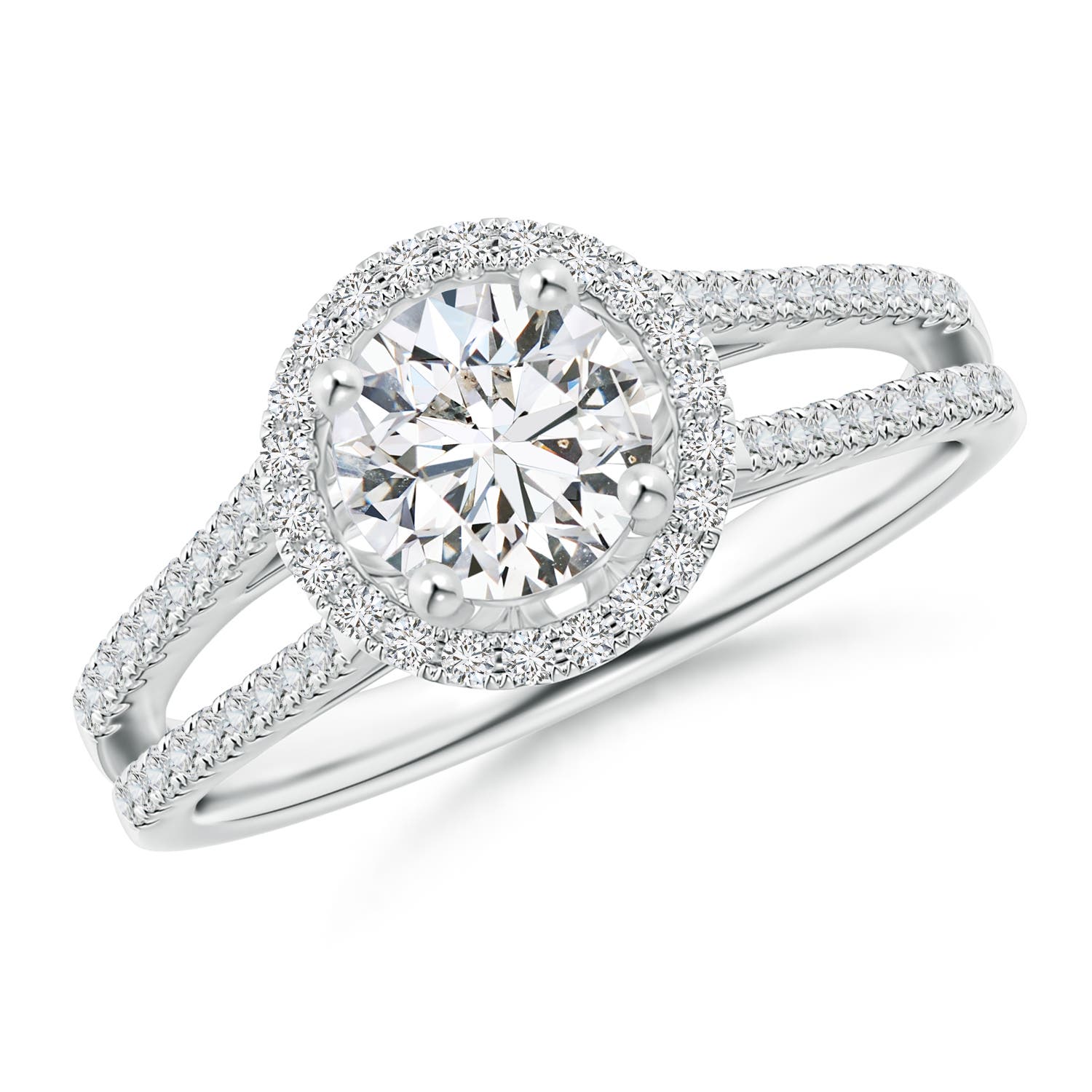 double shank ring